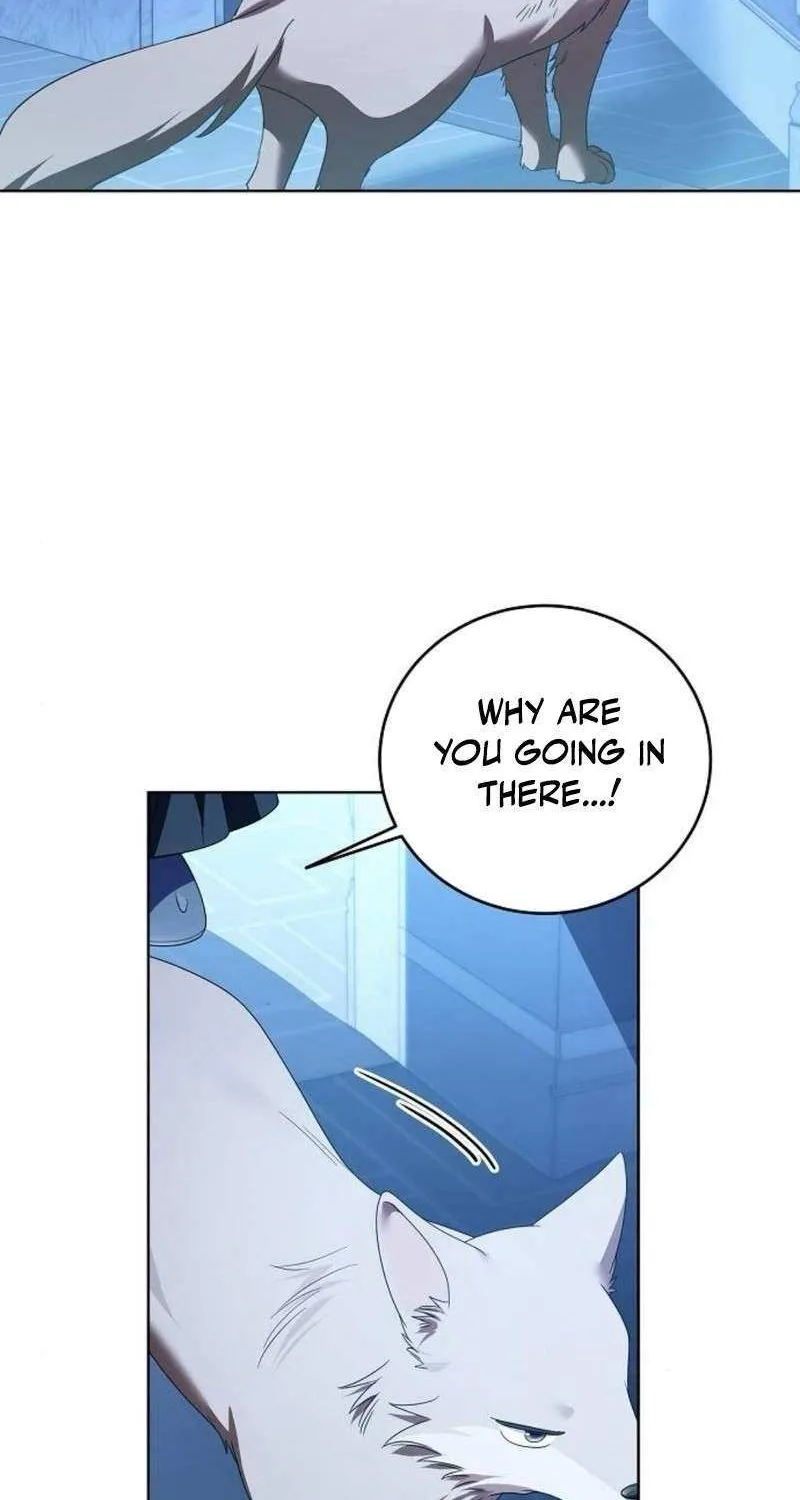 That Marriage, I’ll Do it in this Life Chapter 47 page 31 - 