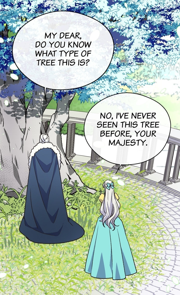 The Abandoned Empress Chapter 72 page 11 - 