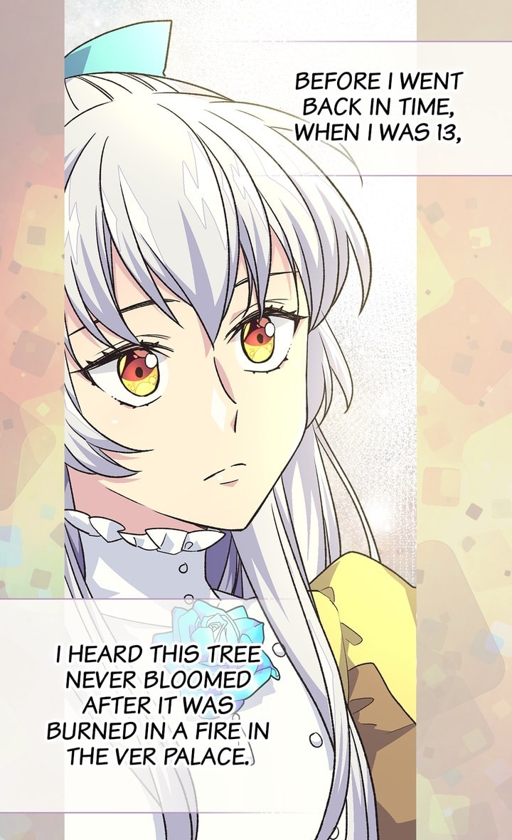 The Abandoned Empress Chapter 72 page 15 - 