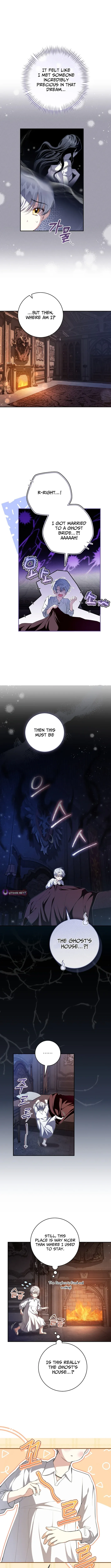 The Abandoned Prince's Ghost Bride Chapter 1 page 9 - 