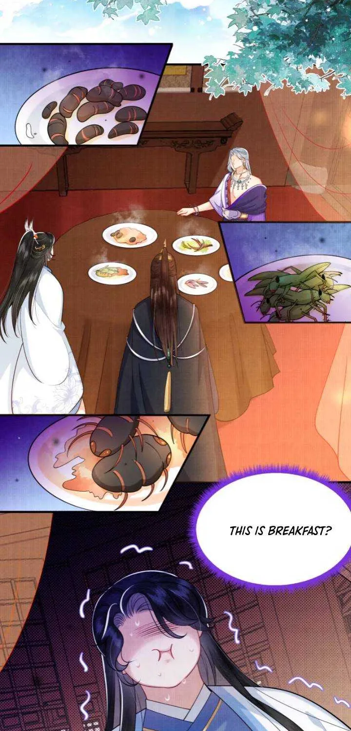 The Abandoned Wife’s Rebirth Chapter 13 page 20 - 