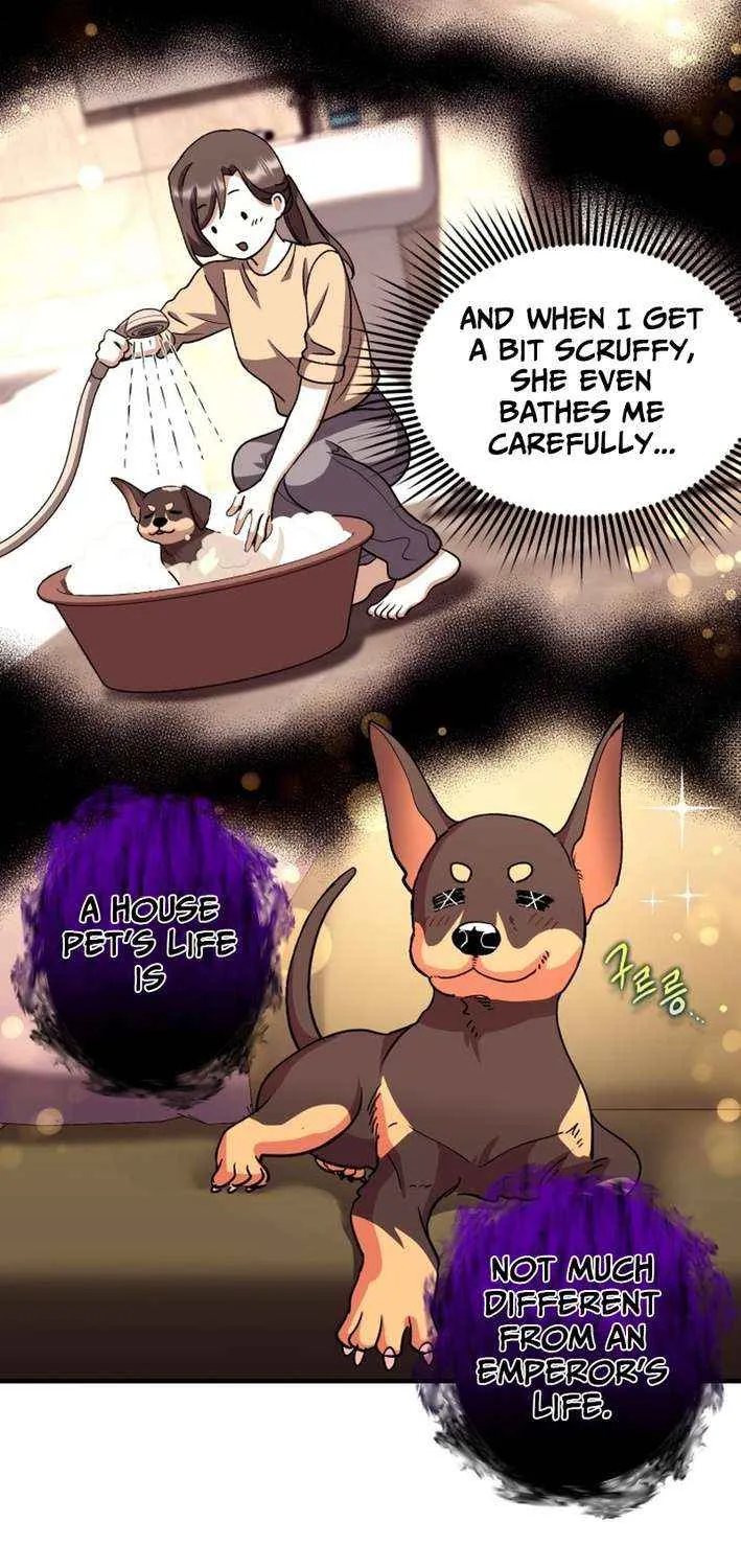 The Absolute Being is a First-Time Dad Chapter 21 page 51 - 
