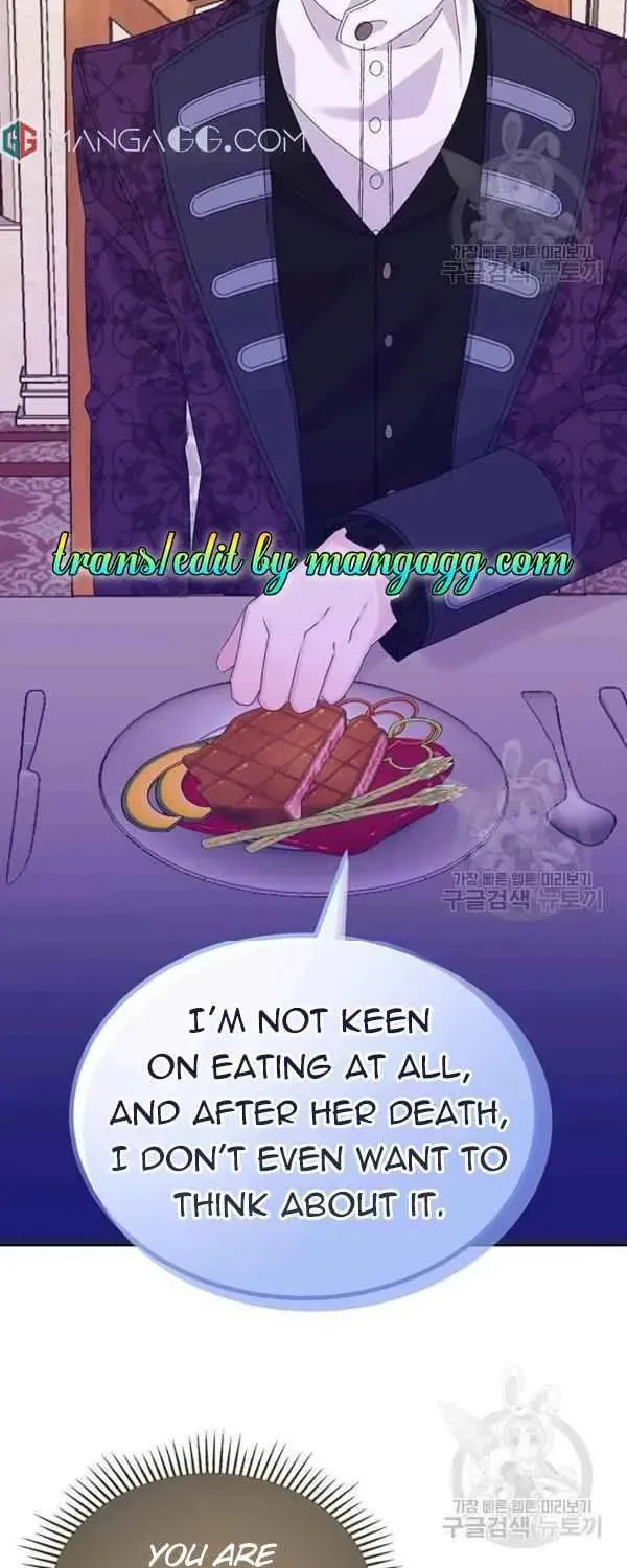 The Adorable Princess of Doom Chapter 13 page 28 - 