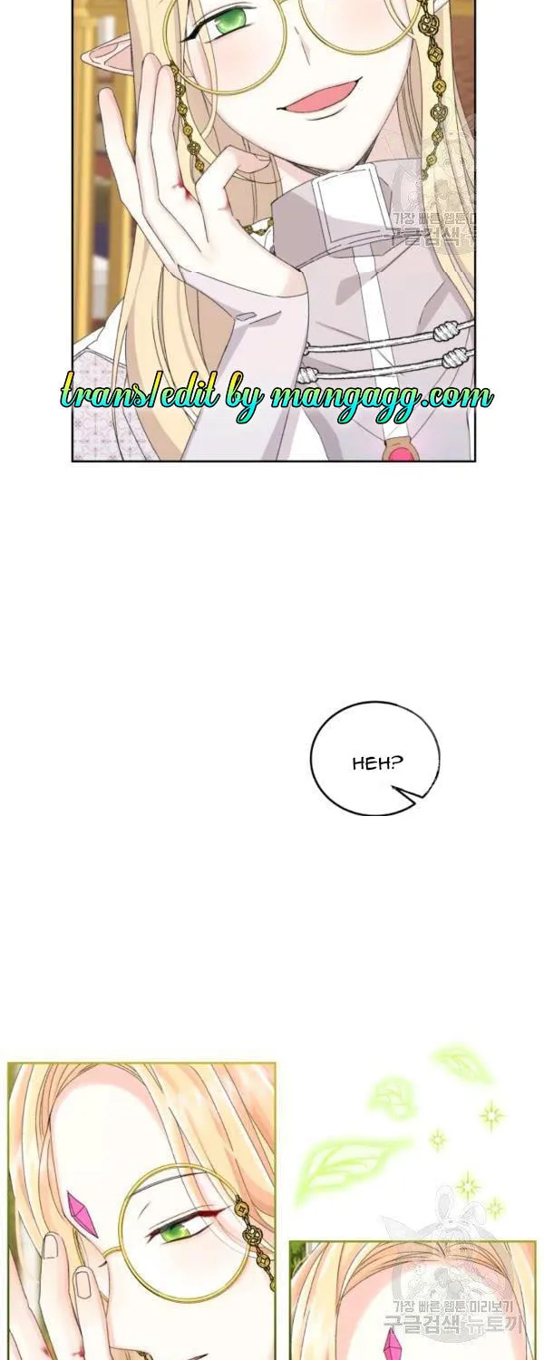The Adorable Princess of Doom Chapter 17 page 27 - 