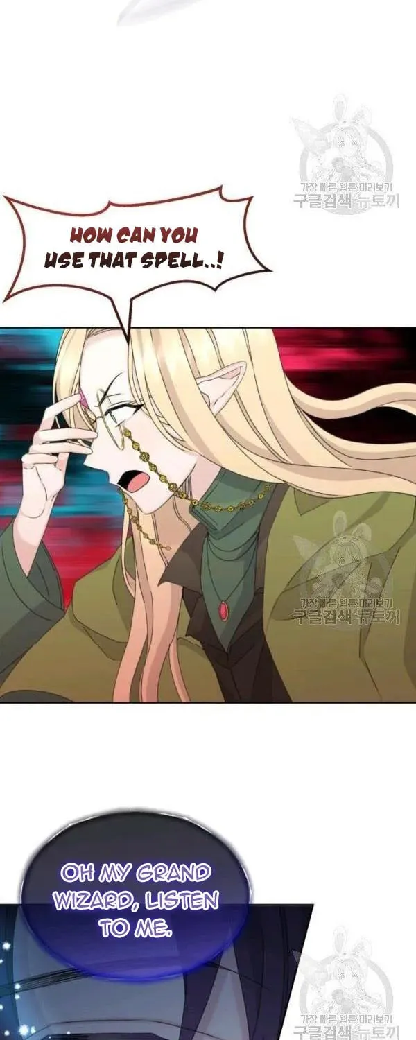 The Adorable Princess of Doom Chapter 19 page 37 - 