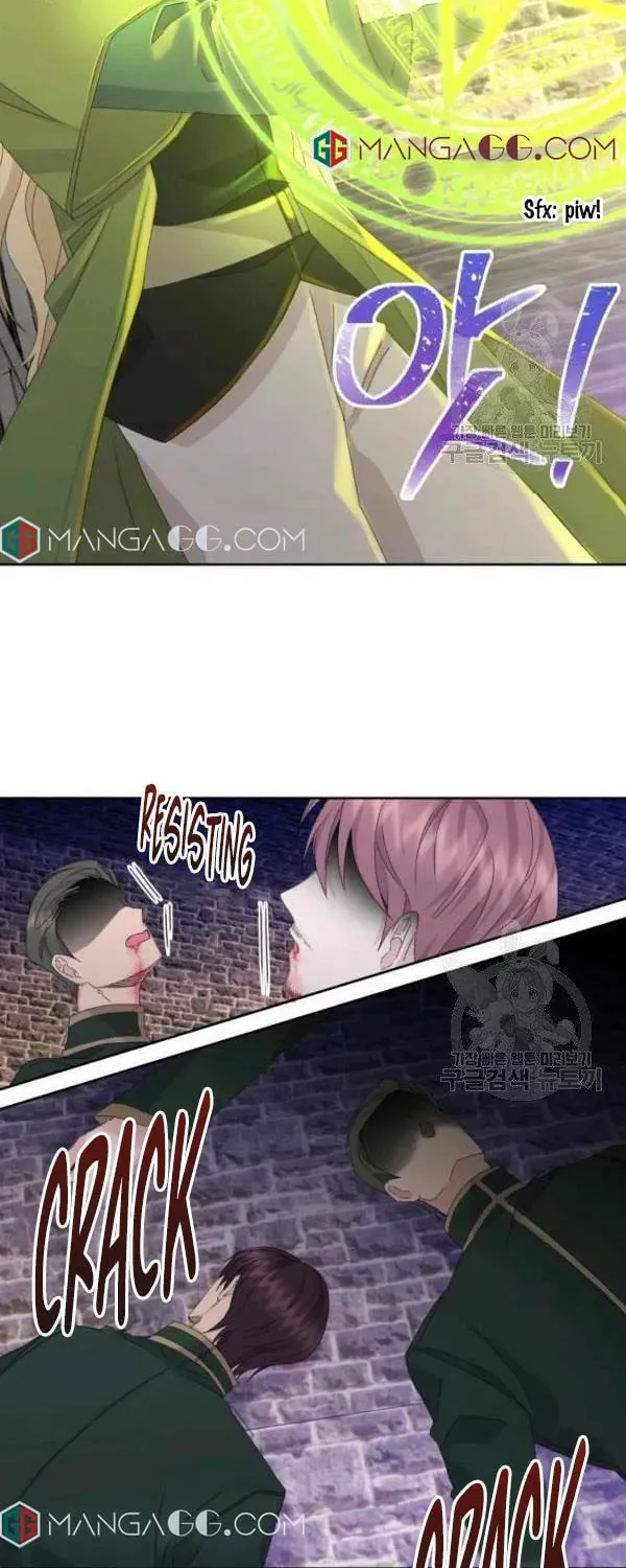 The Adorable Princess of Doom Chapter 19 page 42 - 