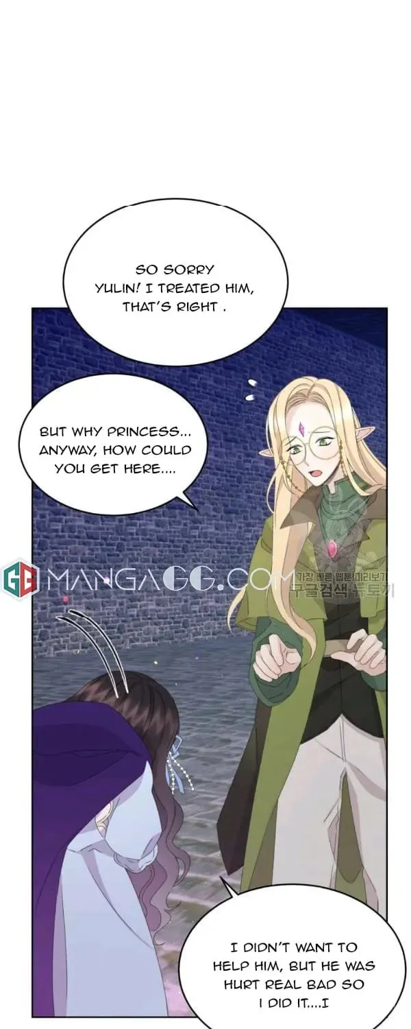The Adorable Princess of Doom Chapter 20 page 14 - 