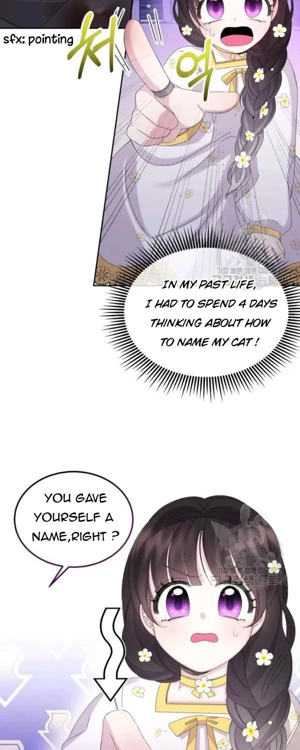 The Adorable Princess of Doom Chapter 23 page 17 - 