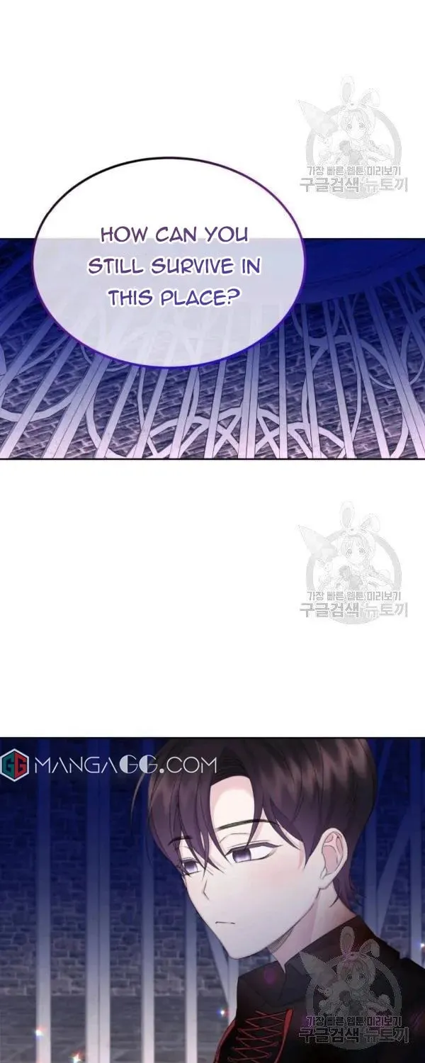 The Adorable Princess of Doom Chapter 23 page 27 - 