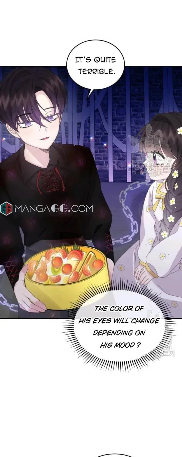 The Adorable Princess of Doom Chapter 23 page 29 - 