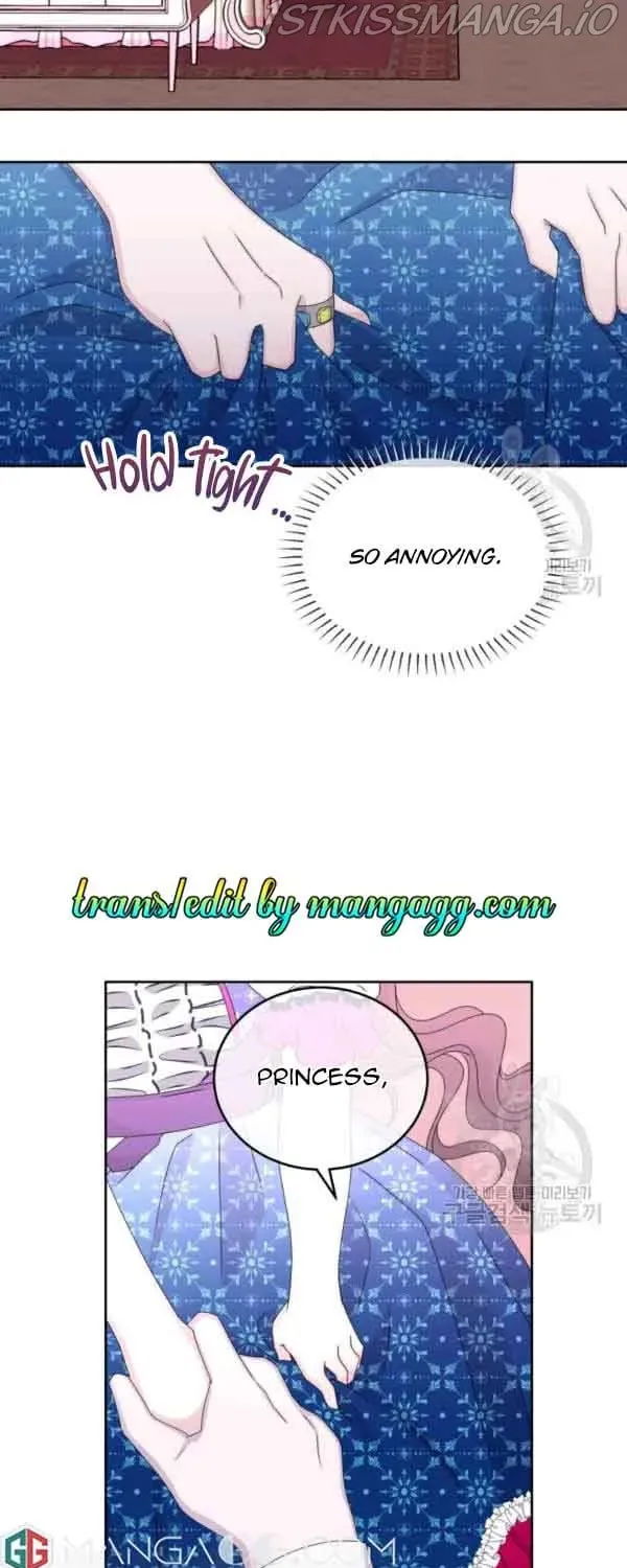 The Adorable Princess of Doom Chapter 36 page 27 - 