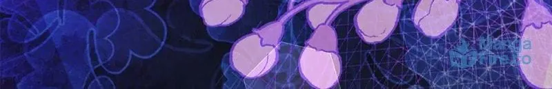 The Adorable Princess of Doom Chapter 75 page 115 - 