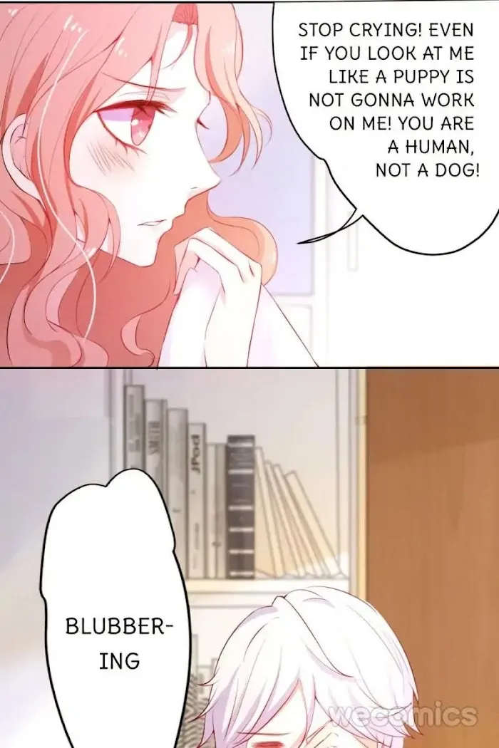 The Adorable Vampire Chapter 1 page 13 - 
