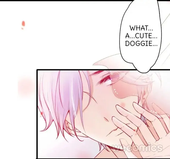 The Adorable Vampire Chapter 1 page 3 - 