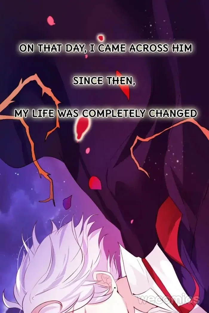 The Adorable Vampire Chapter 1 page 51 - 
