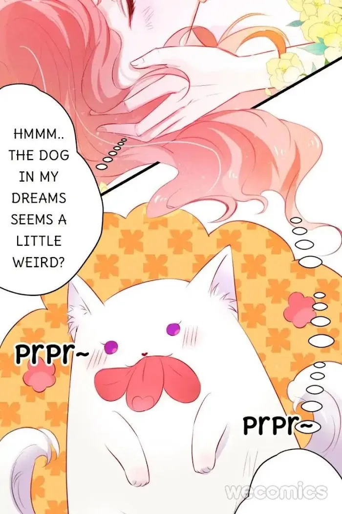 The Adorable Vampire Chapter 1 page 7 - 
