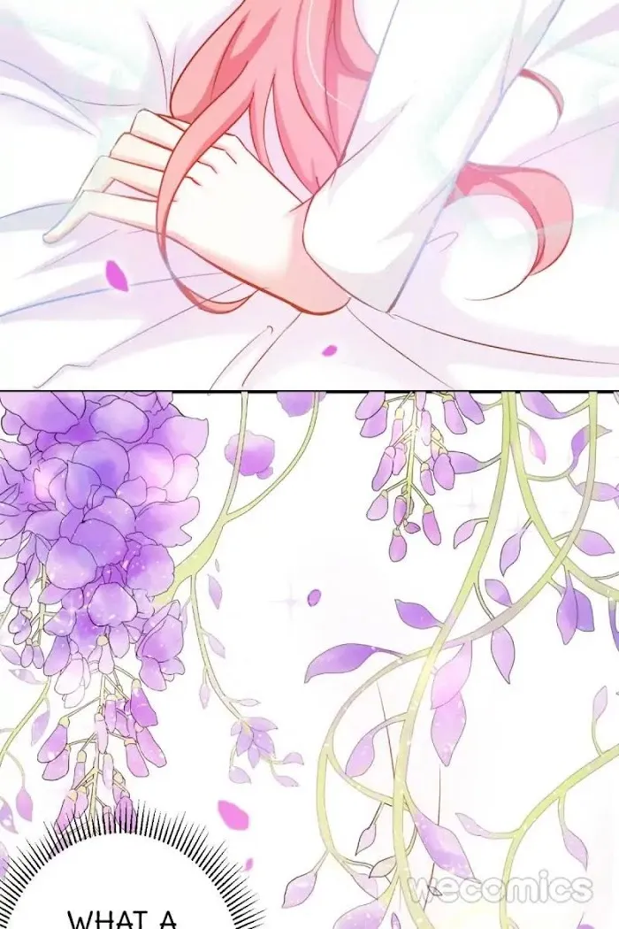 The Adorable Vampire Chapter 2 page 49 - 
