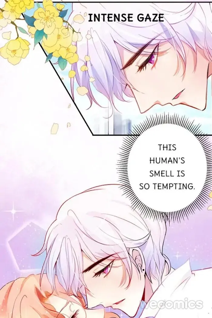 The Adorable Vampire Chapter 3 page 3 - 