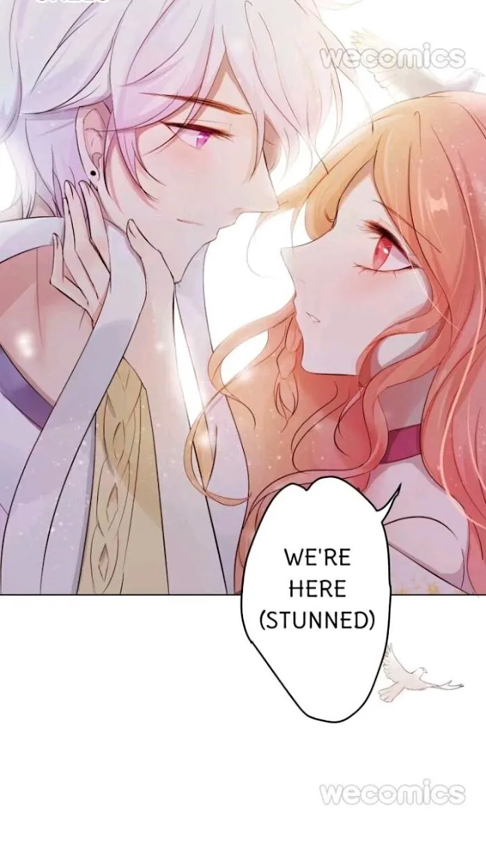 The Adorable Vampire Chapter 6 page 33 - 