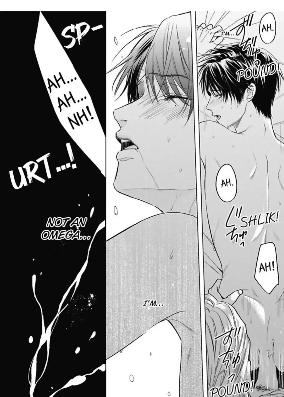 The Alpha's Bride -Love's Resonance- Chapter 1 page 12 - 