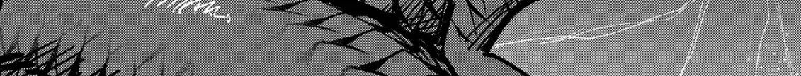 The Ancient Magic Only I Can Use ~The Magic I Was Exiled For, Unable to Even Use the Basics, Was Actually the Legendary Magic Lost 10,000 Years Ago~ Chapter 8 page 33 - 