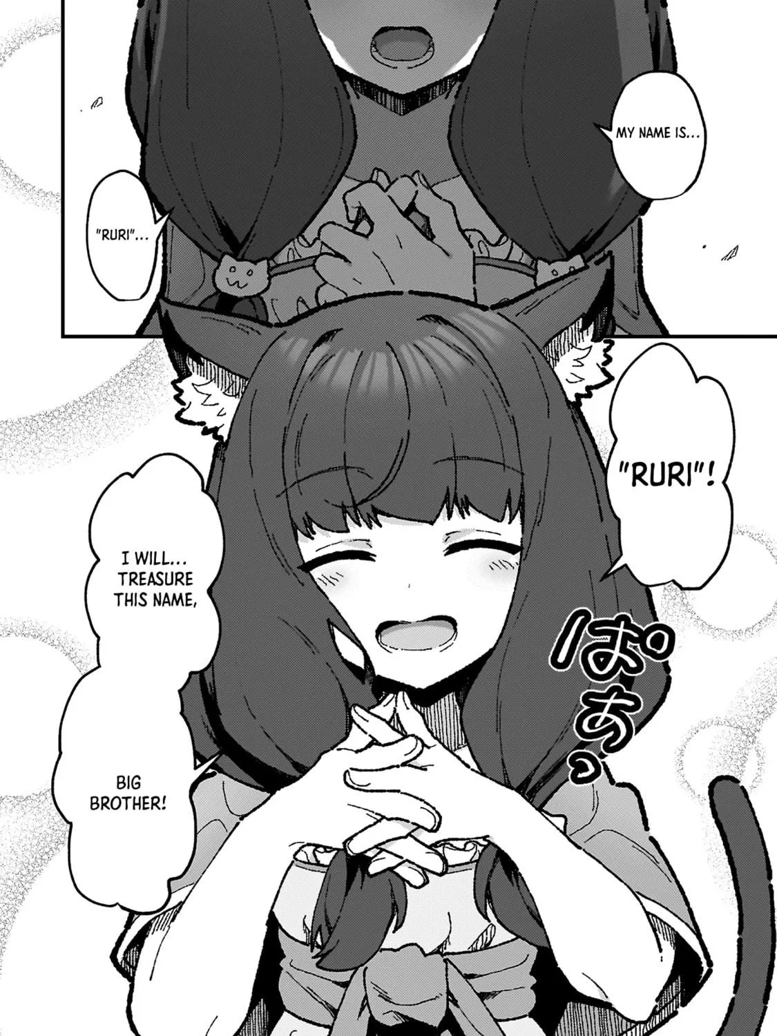 The Another World Demon King's Successor Chapter 18 page 47 - 