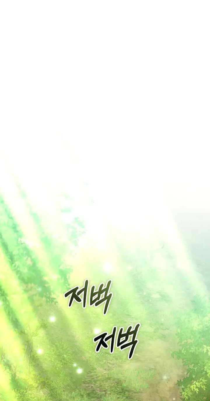 The Archduke's Adopted Saint Chapter 95 page 47 - 