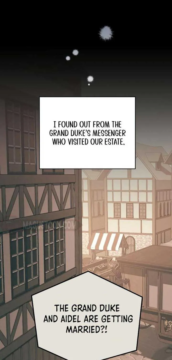 The Archduke’s Flower Is In Jeopardy Chapter 13 page 11 - 