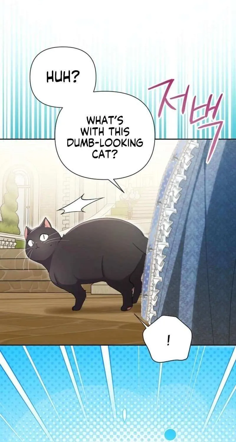 The Archvillain's Daughter In Law Chapter 118 page 64 - 