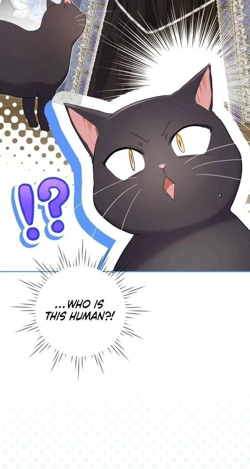 The Archvillain's Daughter In Law Chapter 118 page 66 - 