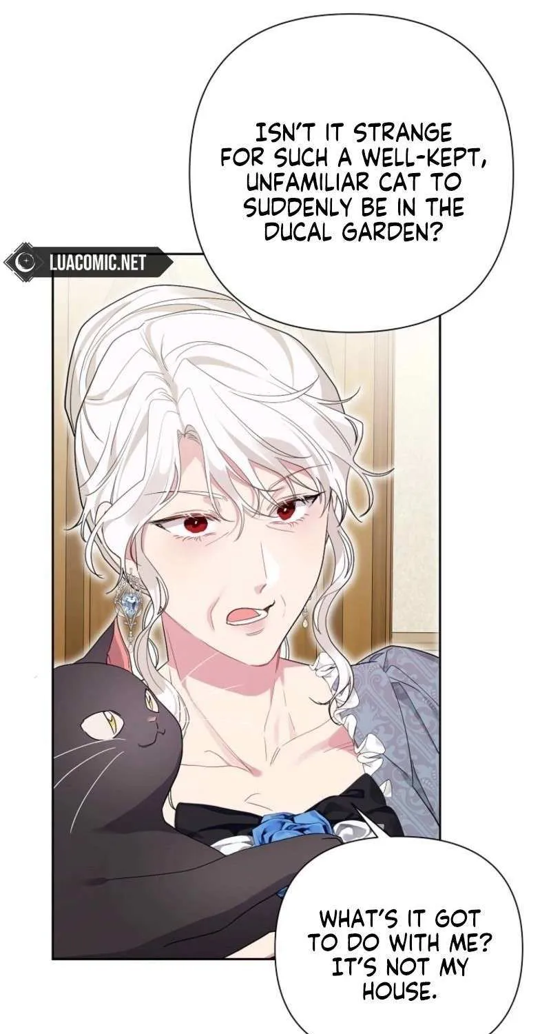 The Archvillain's Daughter In Law Chapter 119 page 62 - 