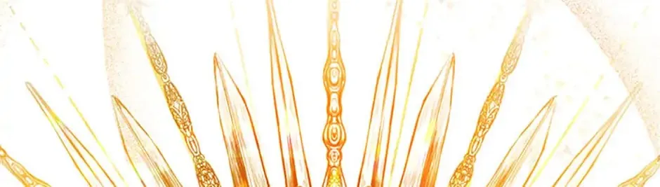 The Archvillain's Young Patron Chapter 1 page 218 - 