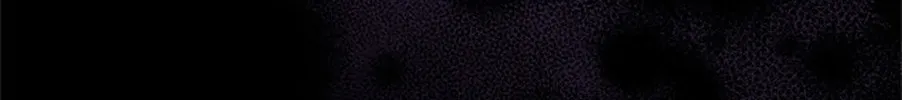 The Archvillain's Young Patron Chapter 92 page 68 - 