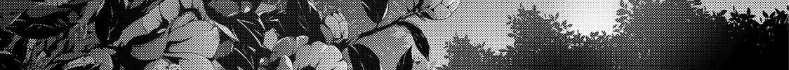 The Ayakashi Hunter's Tainted Bride Chapter 41 page 16 - 