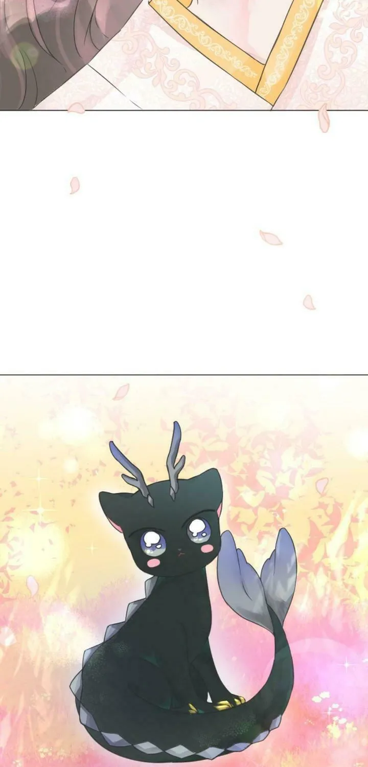 The Baby Dragon and the Rabbit Spirit Chapter 1 page 11 - 