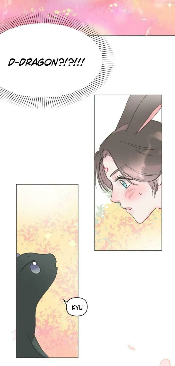 The Baby Dragon and the Rabbit Spirit Chapter 1 page 12 - 