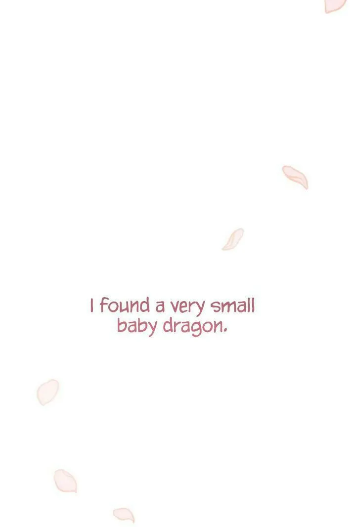 The Baby Dragon and the Rabbit Spirit Chapter 1 page 13 - 