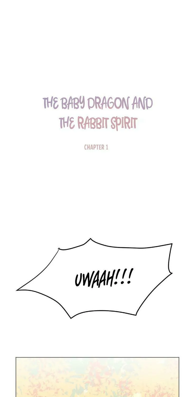 The Baby Dragon and the Rabbit Spirit Chapter 1 page 14 - 