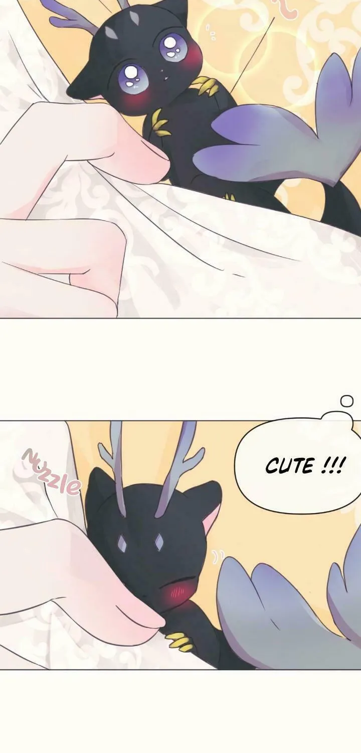 The Baby Dragon and the Rabbit Spirit Chapter 1 page 18 - 