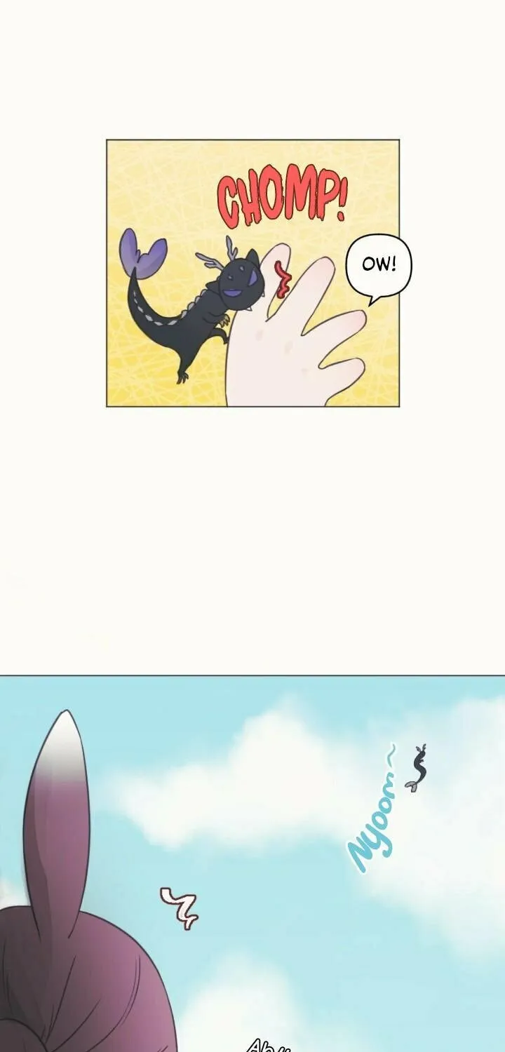 The Baby Dragon and the Rabbit Spirit Chapter 1 page 24 - 