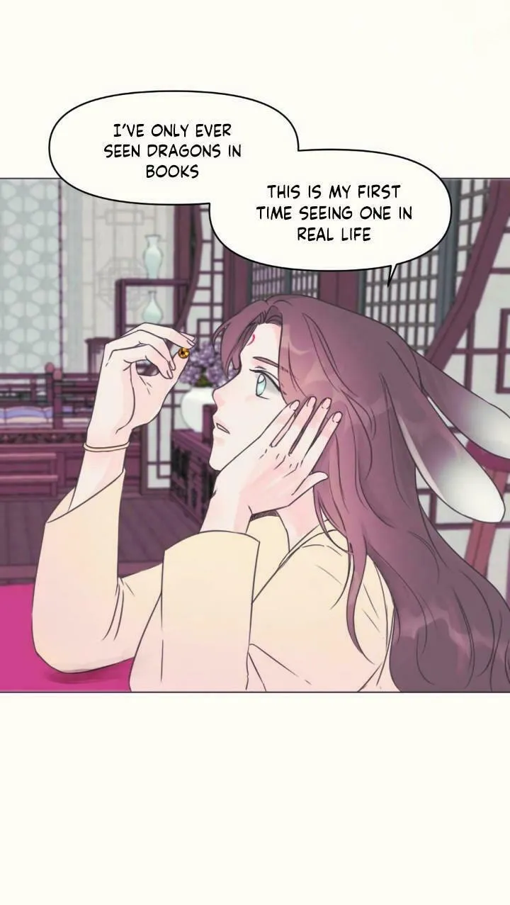 The Baby Dragon and the Rabbit Spirit Chapter 1 page 29 - 