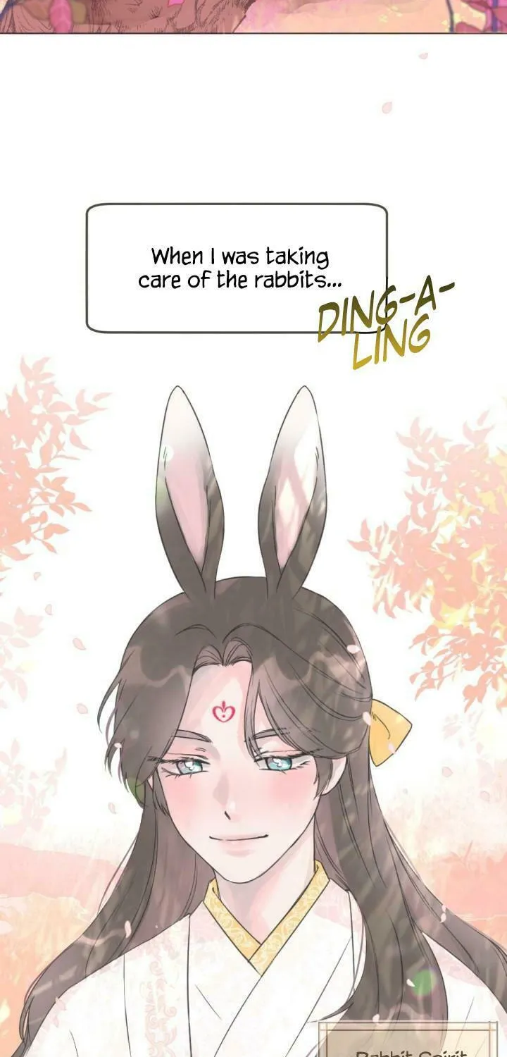 The Baby Dragon and the Rabbit Spirit Chapter 1 page 4 - 