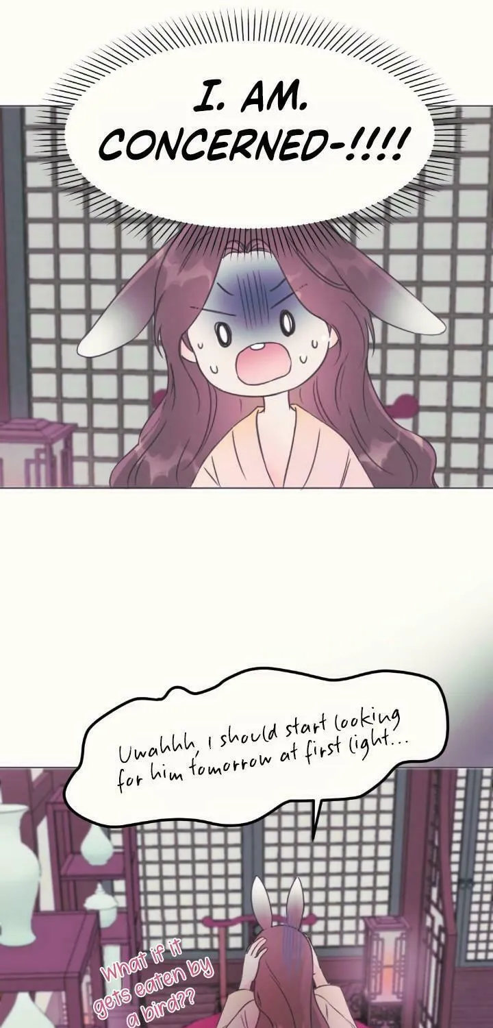 The Baby Dragon and the Rabbit Spirit Chapter 1 page 33 - 