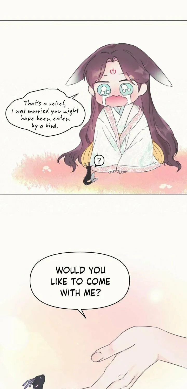 The Baby Dragon and the Rabbit Spirit Chapter 1 page 40 - 
