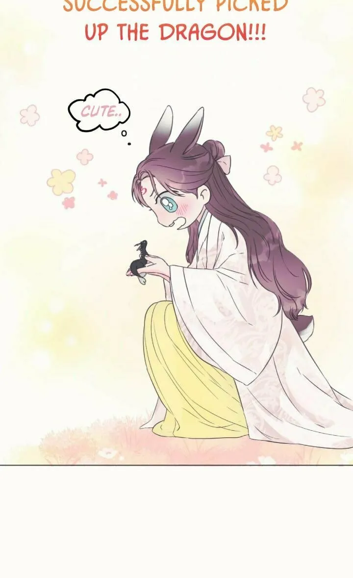 The Baby Dragon and the Rabbit Spirit Chapter 1 page 42 - 