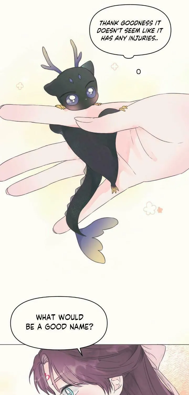 The Baby Dragon and the Rabbit Spirit Chapter 1 page 43 - 