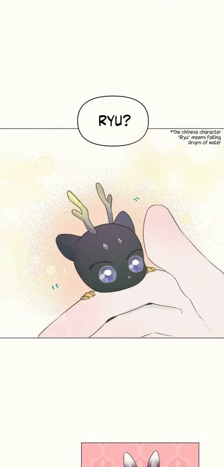 The Baby Dragon and the Rabbit Spirit Chapter 1 page 47 - 