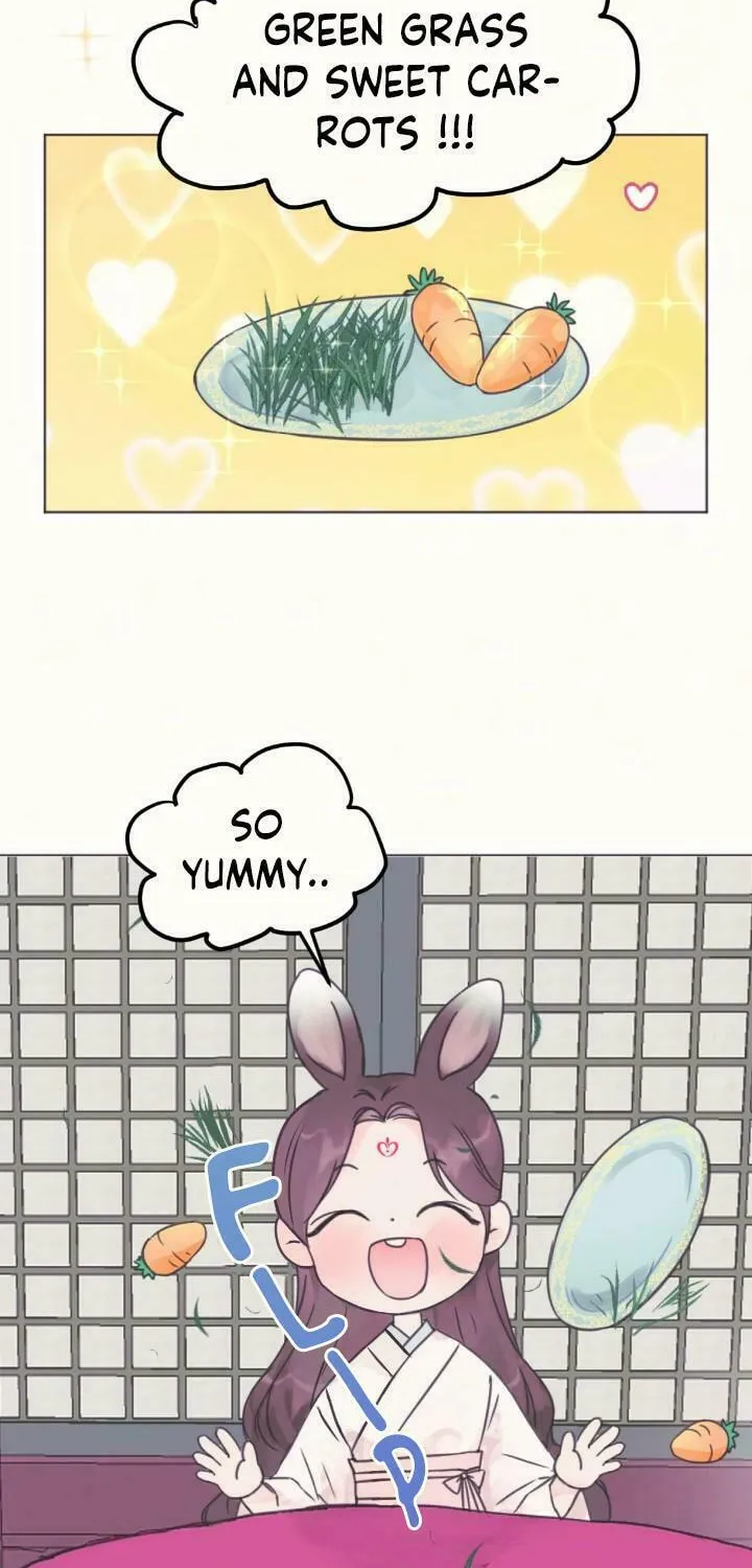 The Baby Dragon and the Rabbit Spirit Chapter 1 page 51 - 