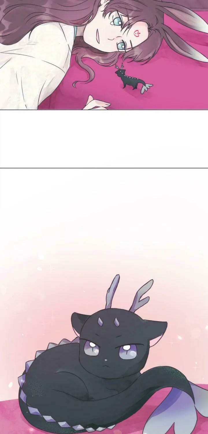 The Baby Dragon and the Rabbit Spirit Chapter 1 page 54 - 