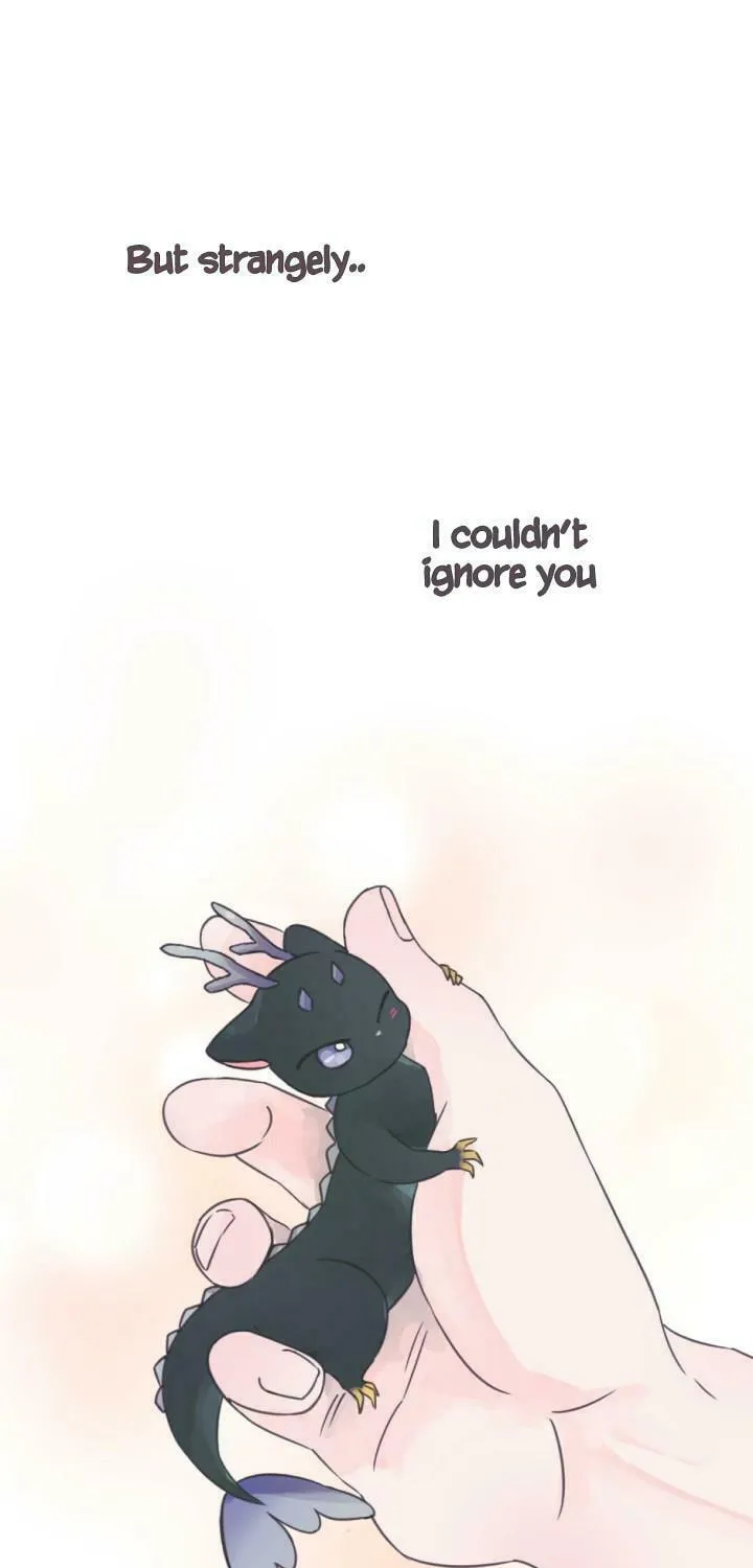 The Baby Dragon and the Rabbit Spirit Chapter 1 page 57 - 
